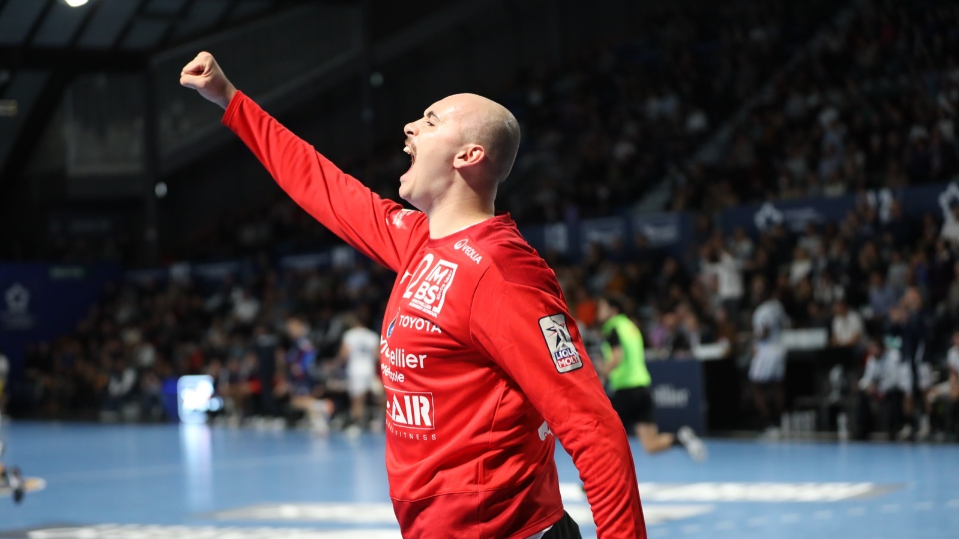 Liqui Moly Starligue : Montpellier en patron à Créteil