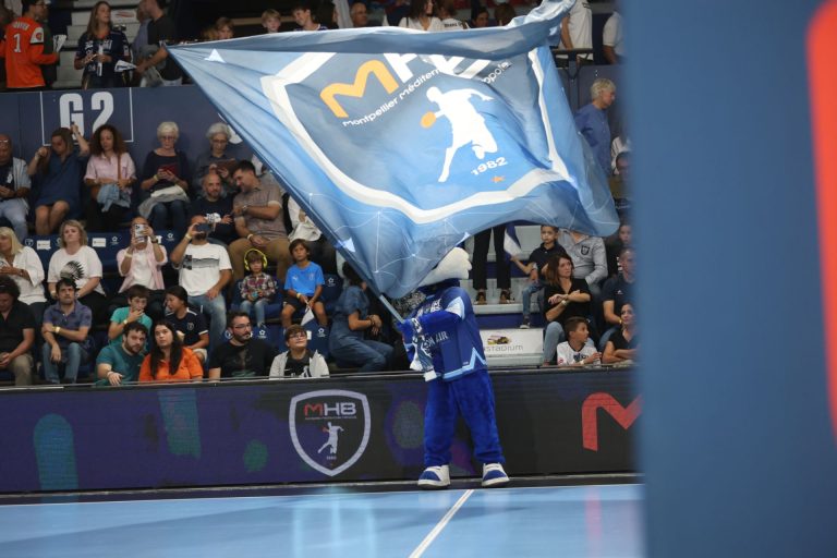 Mascotte brandissant un drapeau lors d'un match.