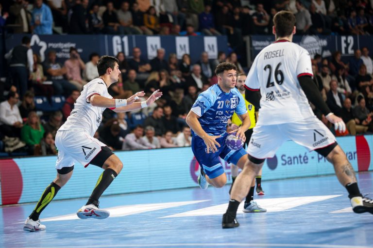 Match de handball en cours, joueurs en action.