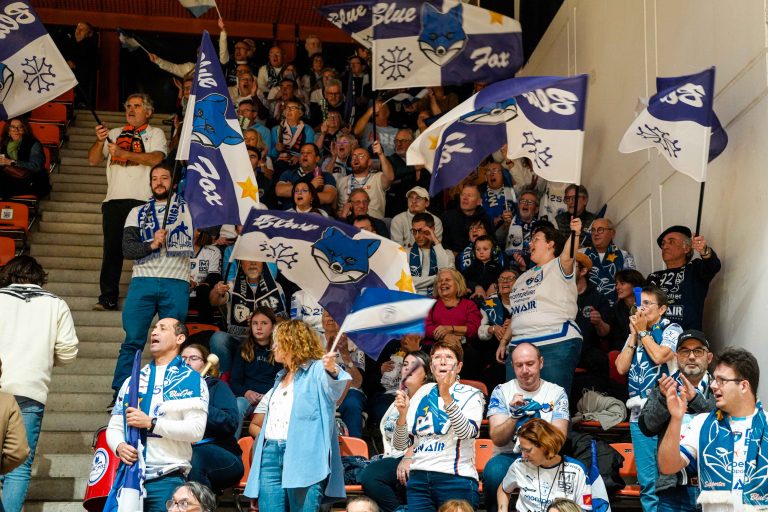Supporters enthousiastes avec drapeaux au match de sport.