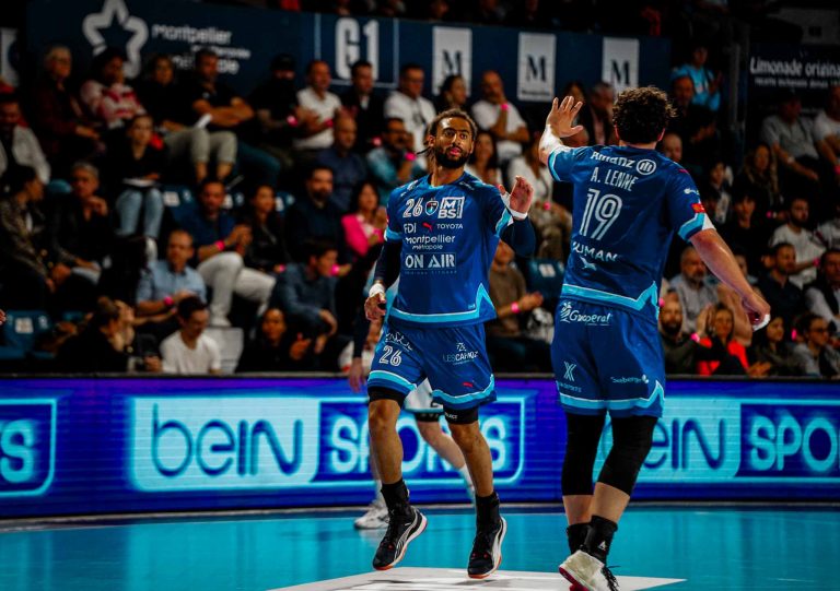 Joueurs de handball célébrant sur le terrain.