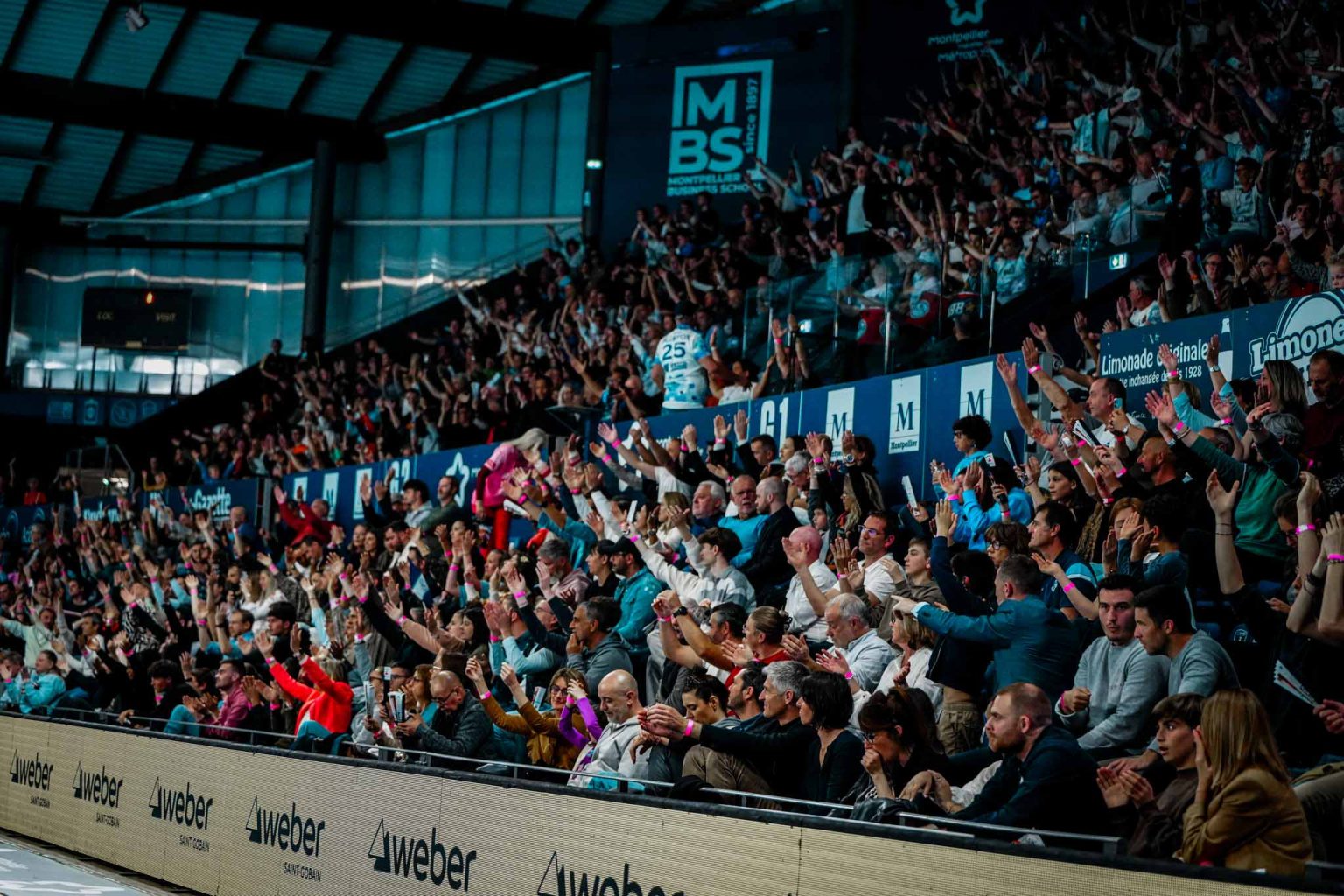 Public enthousiaste lors d'un match de handball.
