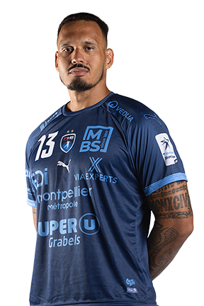 Rogerio Moraes Ferreira