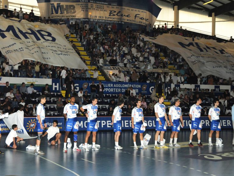 Création des Blue Fox