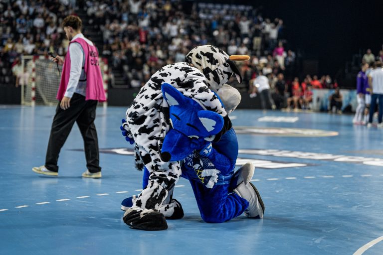 J-07 Liqui Moly Starligue : MHB – Nantes