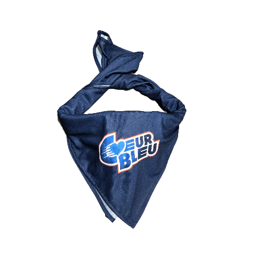 FOULARD COEUR BLEU / MHB